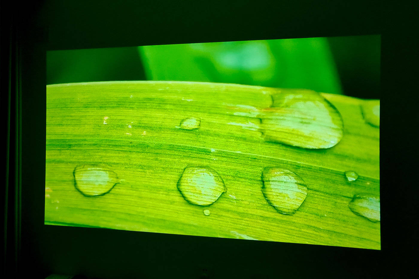 双倍亮度+JBL原装音响,表现到底如何?极米子品牌快乐星球O3投影深度评测