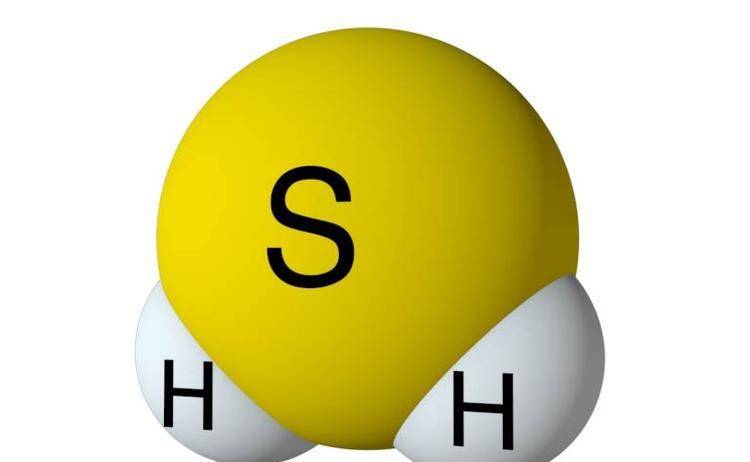 硫化氢作为一种气体,是调节巨噬细胞源性泡沫细胞形成的重要分子