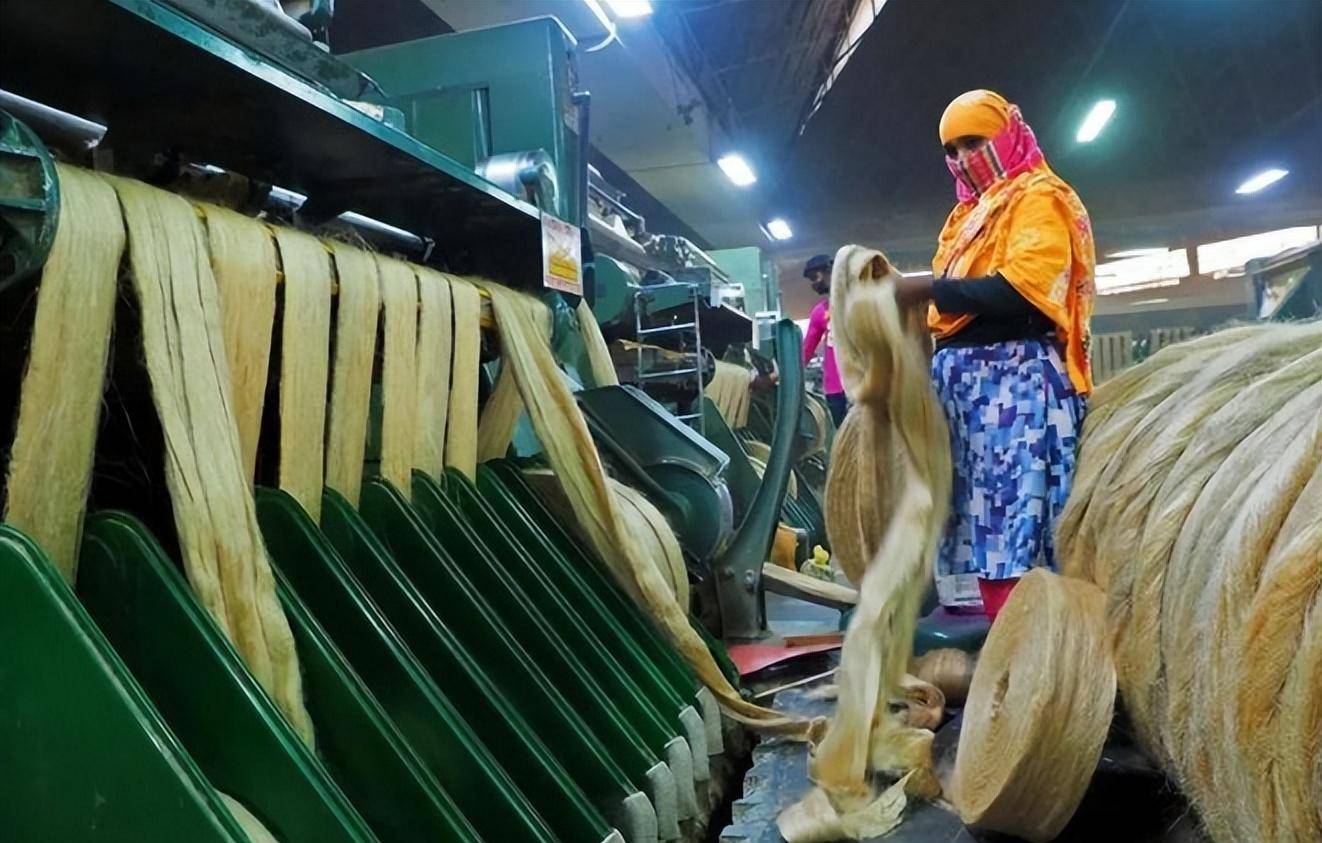 "血汗工厂"孟加拉:发展靠压榨,女工月入500,不进厂或要卖身_人口_独立