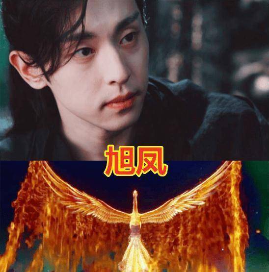 旭凤_时候_翅膀