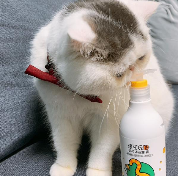 淘豆玩国猫咪洗护产品好不好用?一篇纯干货为你解惑! 淘豆玩国猫咪洗护产品好不好用?一篇纯干货为你解惑!