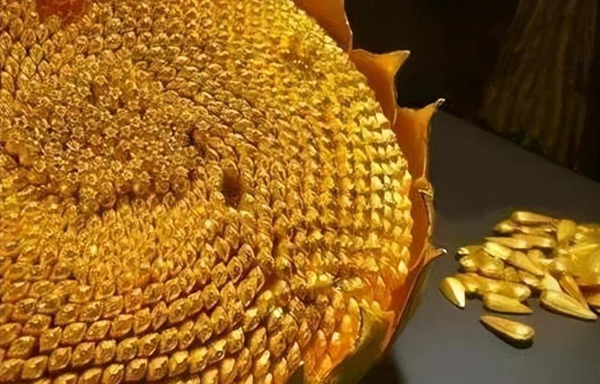 为什么《甄嬛传》里,沈眉庄赏苏培盛金瓜子时,他直呼不敢当?