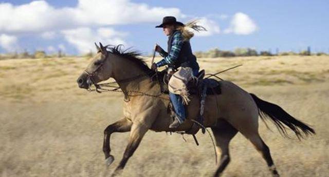 还要祈祷好天气,如果遇到风雪天气,会严重影响送信的速度,倘若