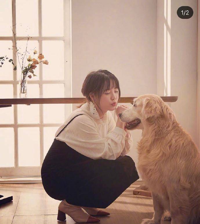 如今的具惠善和安宰贤也同样如此!