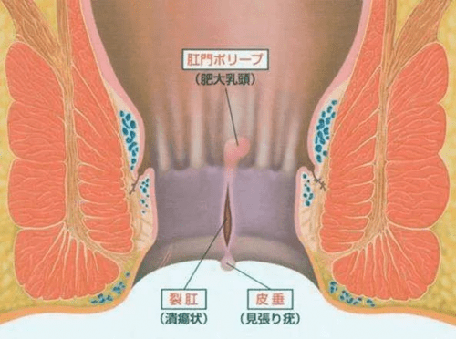 来自搜狐网