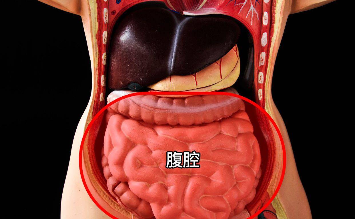 医学小科普