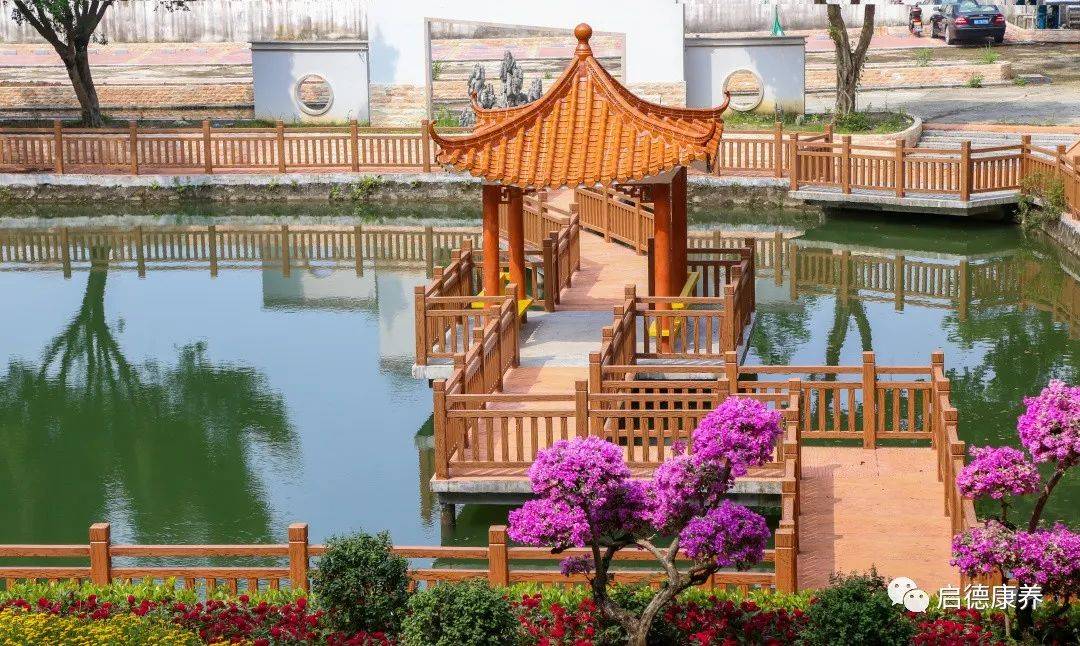 院区环境宽敞,医疗区,康养区,活动区,文娱区分布合理,建有文化广场,小