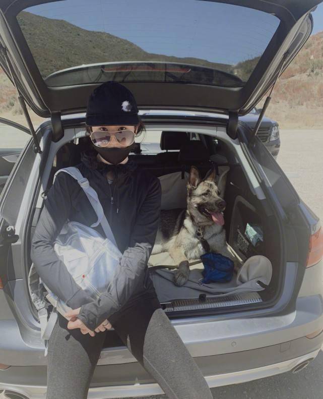 刘亦菲真是有颜任性,穿简单黑色登山装也超飒,口罩墨镜难挡颜值_照片