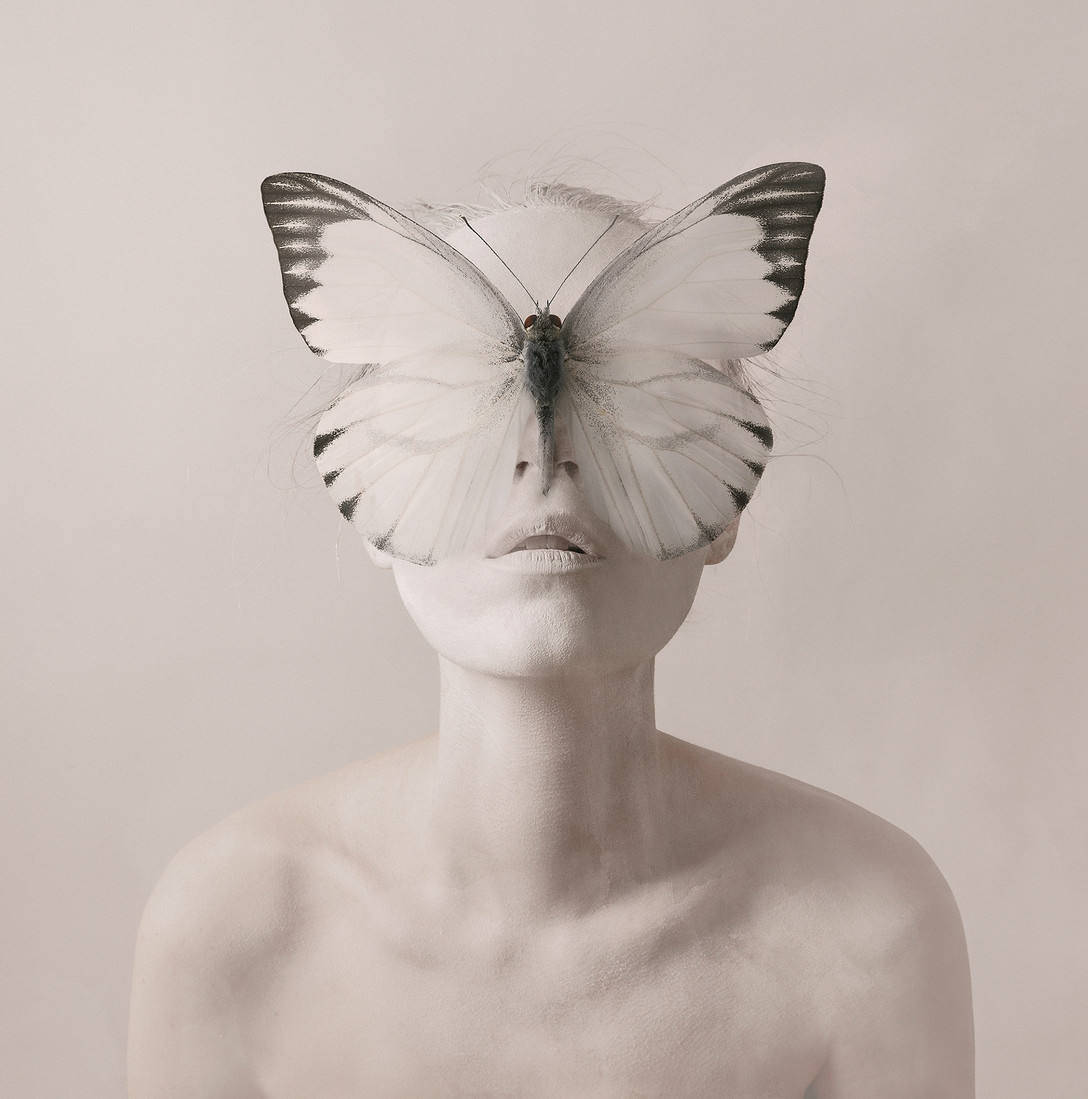 叔本华：论何为艺术的本质_搜狐网