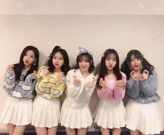 这两支全新的小组合将与老前辈7senses,colorgirls共