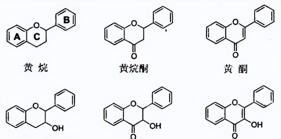 槲皮素,山奈酚,槲皮苷,黄酮,二氢黄酮,黄烷,黄酮醇,花青素,原花青素