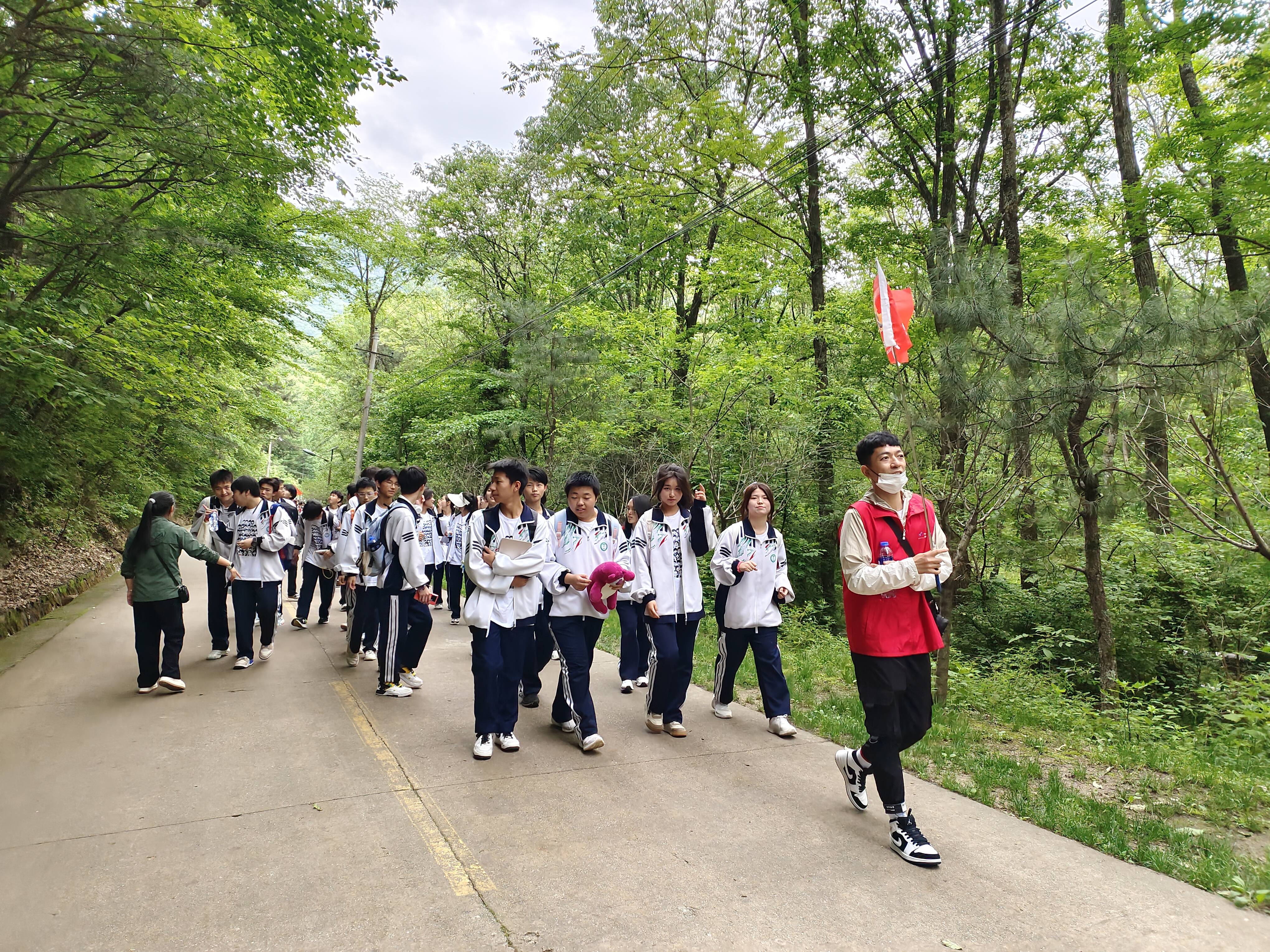 绿林研学旅行图片