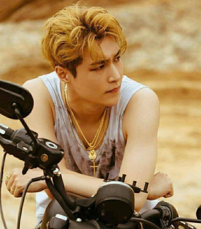 讲到艺兴的作词能力,想起了他的《刘海砍樵(张艺兴改版)》和二胎专辑