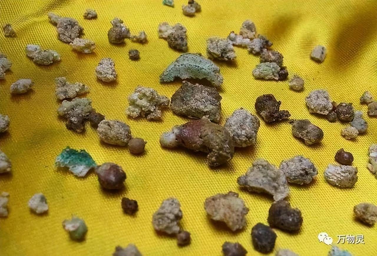 67科学解释:人的骨灰是什么?舍利子到底又是什么?_佛教_是一种_文化