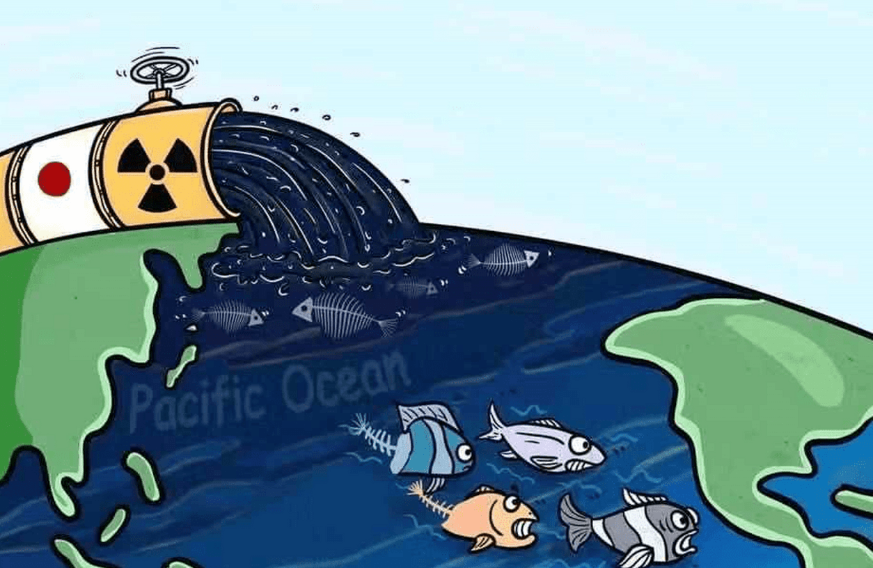 虽然日本政府表示排放核废水的风险很小,但是这个问题涉及到环境污染