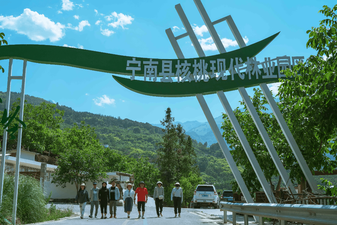 寧南幸福鎮的茶嶺,是涼山林業產業第一村.其森林覆蓋率達90%!