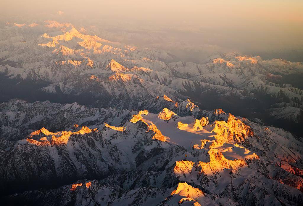 探秘:扎格罗斯山脉中的动物,美丽与野性的奇妙之旅!