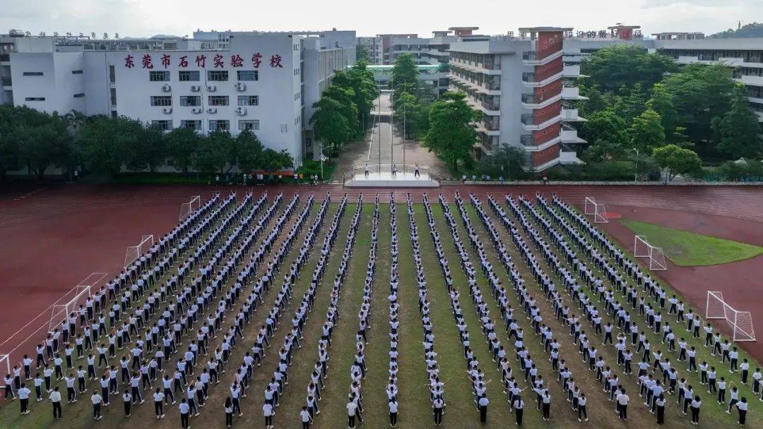 桥头镇12所小学开展大课间体育活动评比 莫家拳操成亮点_全镇_内容