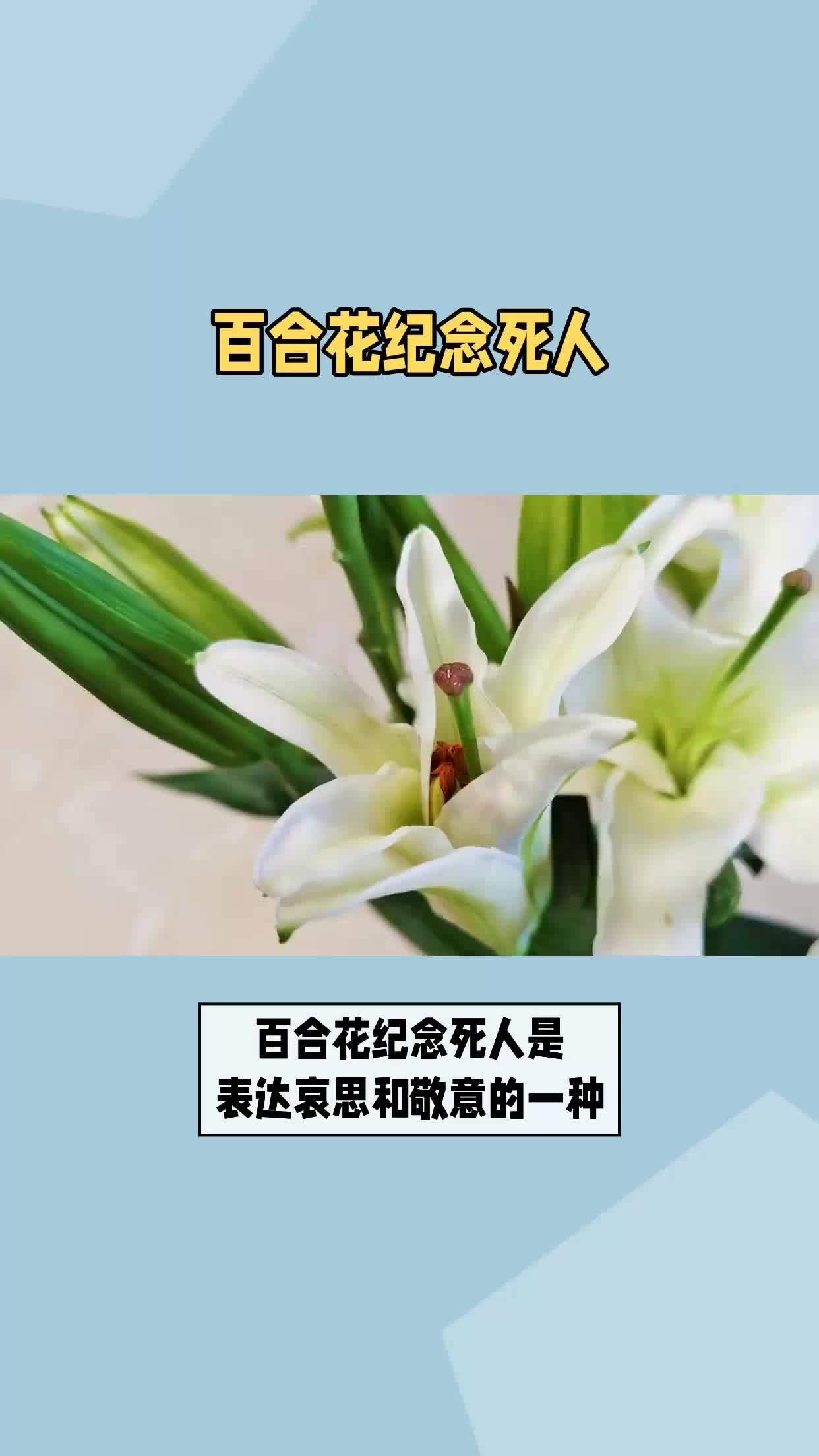 纪念死人的花图片