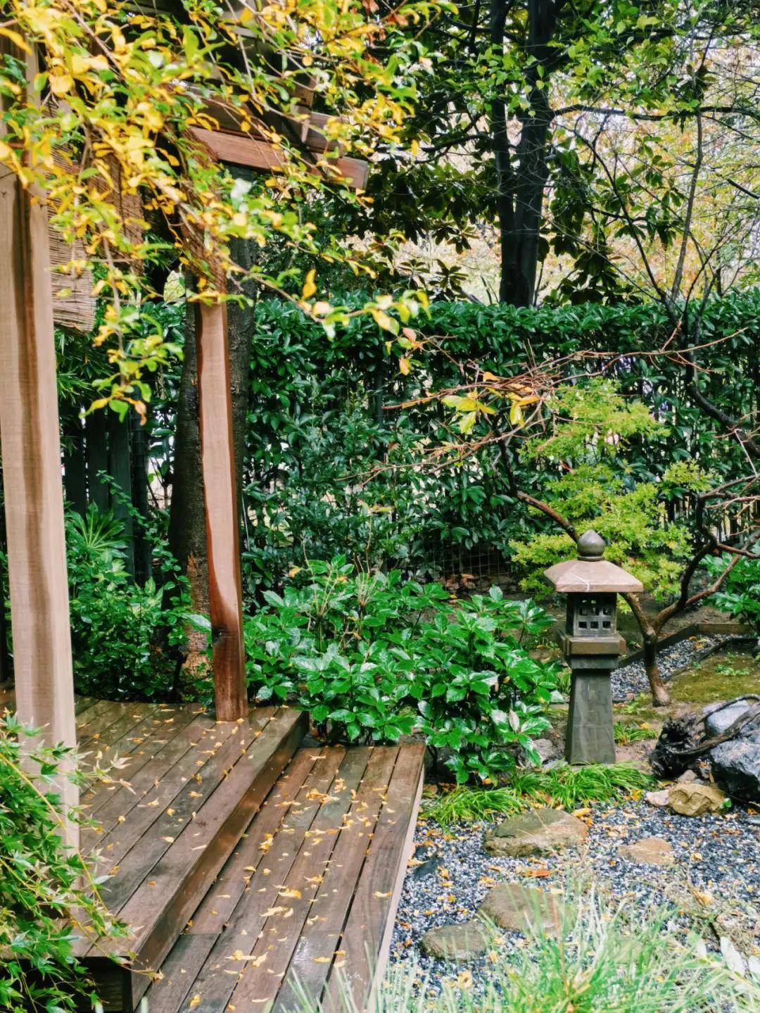 雨后的小院,温婉恬静,湿润清新,美得像一幅画_叶子_部分_文章