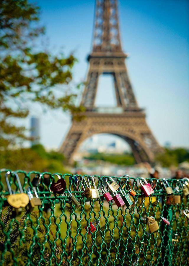 辛夷坞甜虐新文《针尖蜜》:丧偶美艳女明星,带继子投奔初恋_陈樨_生活