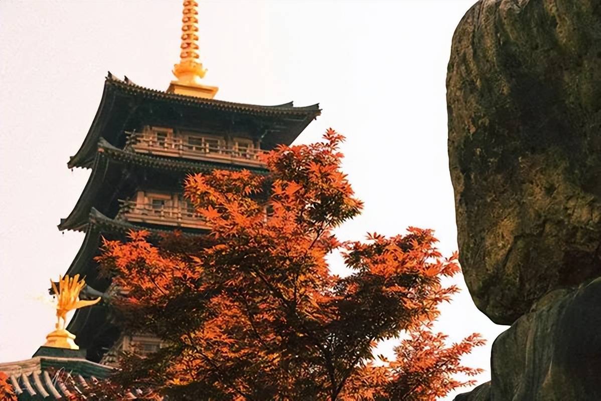 上海这座古风园林火了!67近千年67第一座七层金塔上线!