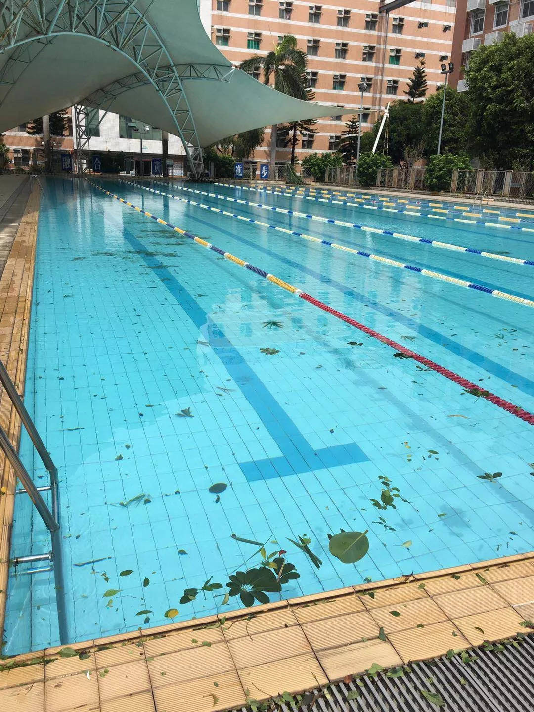 泳池的水到底有多脏?_水质_水体_游客