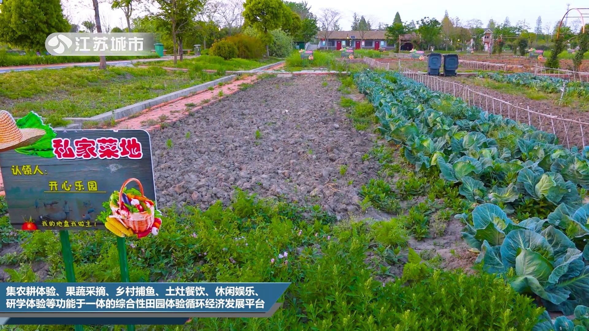 江苏直通车发布江苏电视台播出——泰州市姜堰溱湖旅游景区_文化_湿地