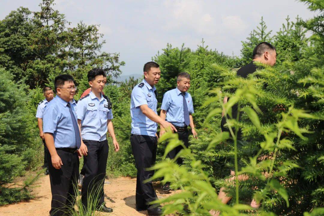 生态警务构建绿色保护盾