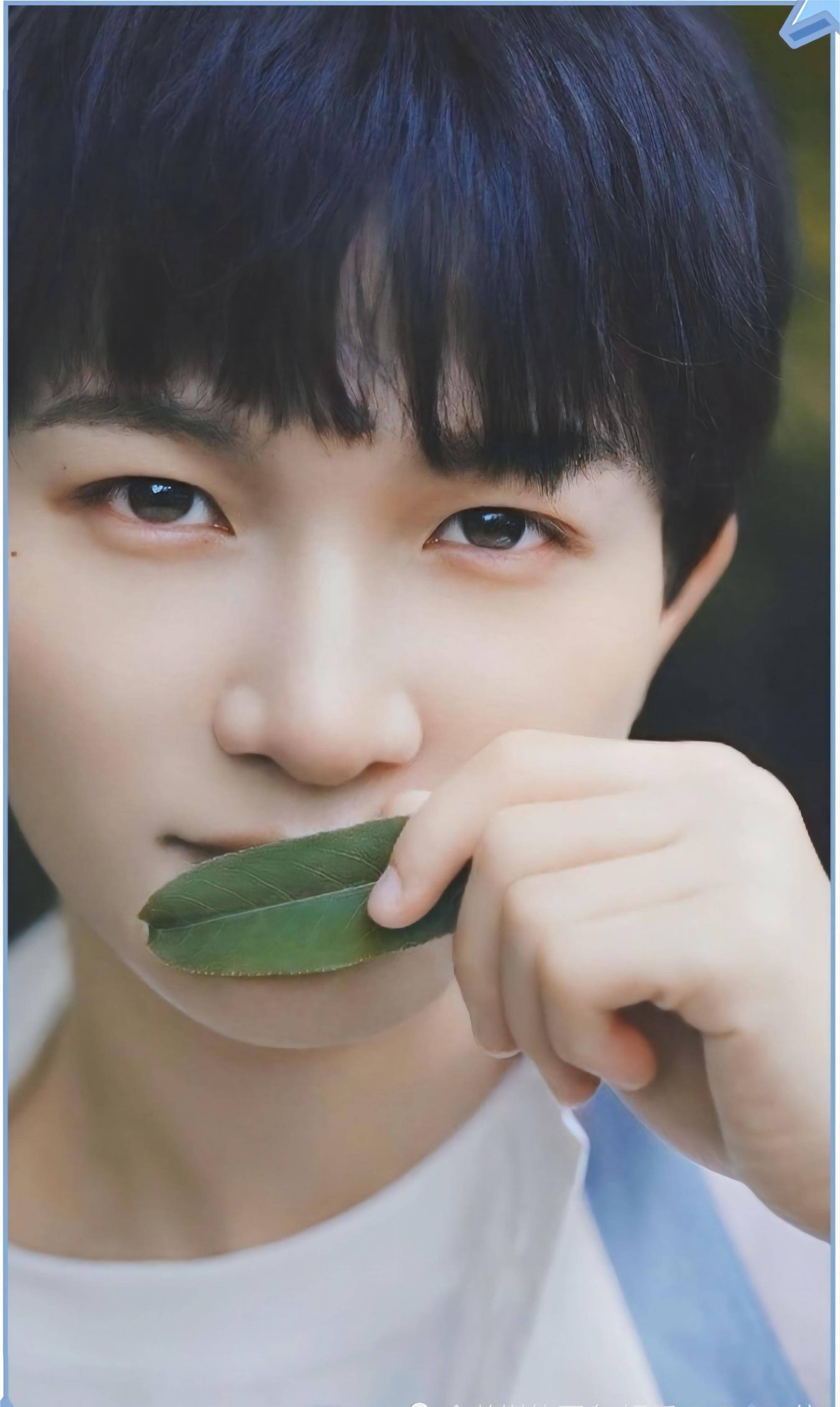 周深,两首半歌,千万播放多个热搜,让电视主持"放弃"演出_李健_循环_星