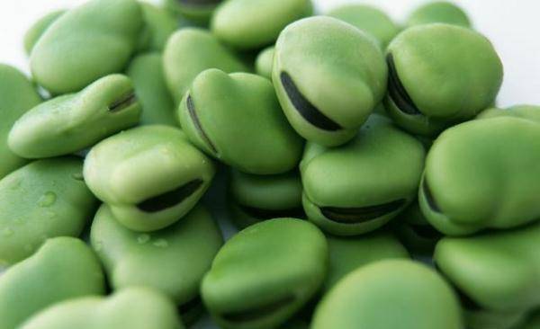 炸蚕豆的嘌呤高吗?痛风患者可以吃吗?_生活_食物_含量