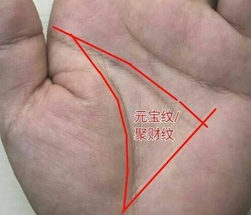 手宝纹,是有三条主线一起其他的一些辅助线形成的,看起来像金元宝的