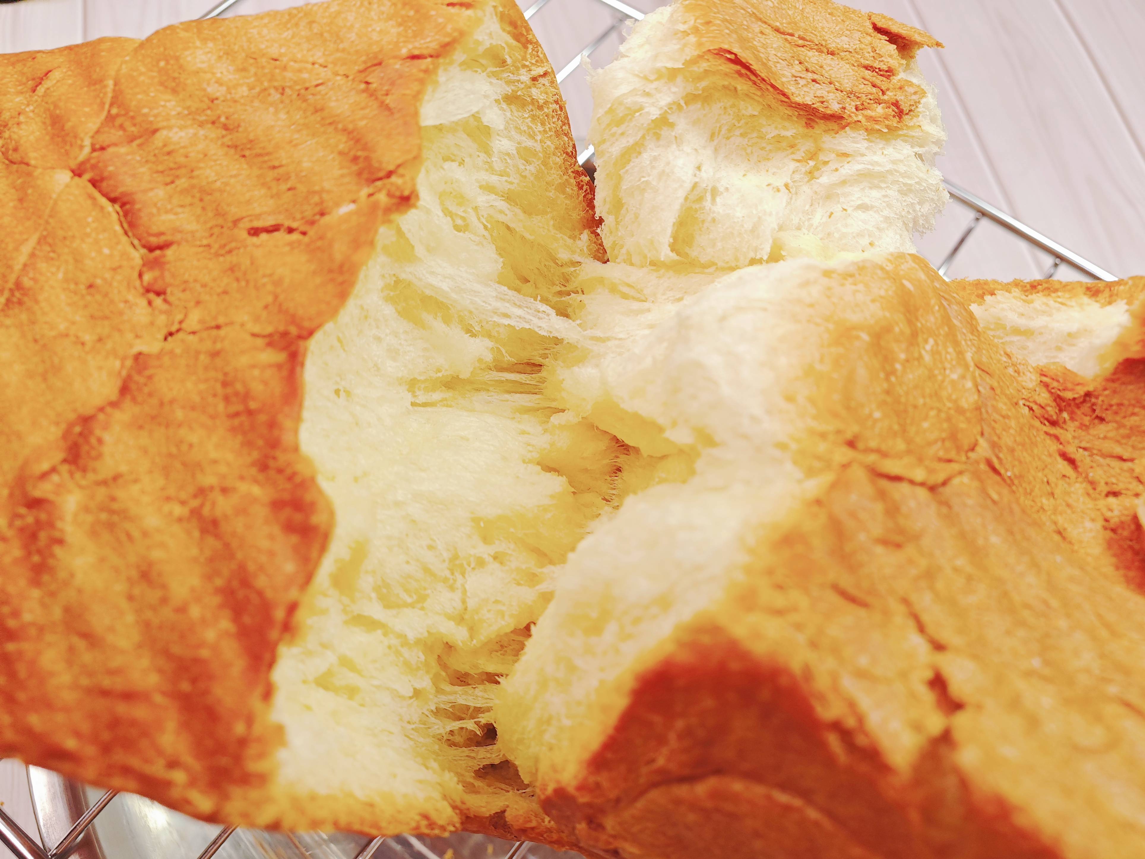 卷王｜入门烤箱也可以Pro，长帝猫小易Pro了解一下！