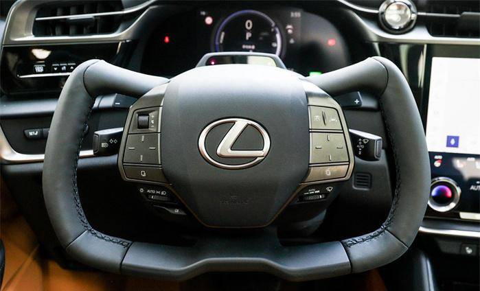 被特斯拉坑惨,半幅方向盘,上不了牌?_搜狐汽车_搜狐网