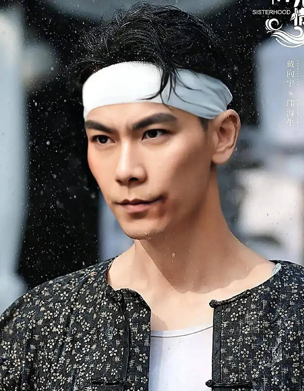 戴向宇是该公司知名度非常高的艺人之一,好男儿出道,外形高大帅气