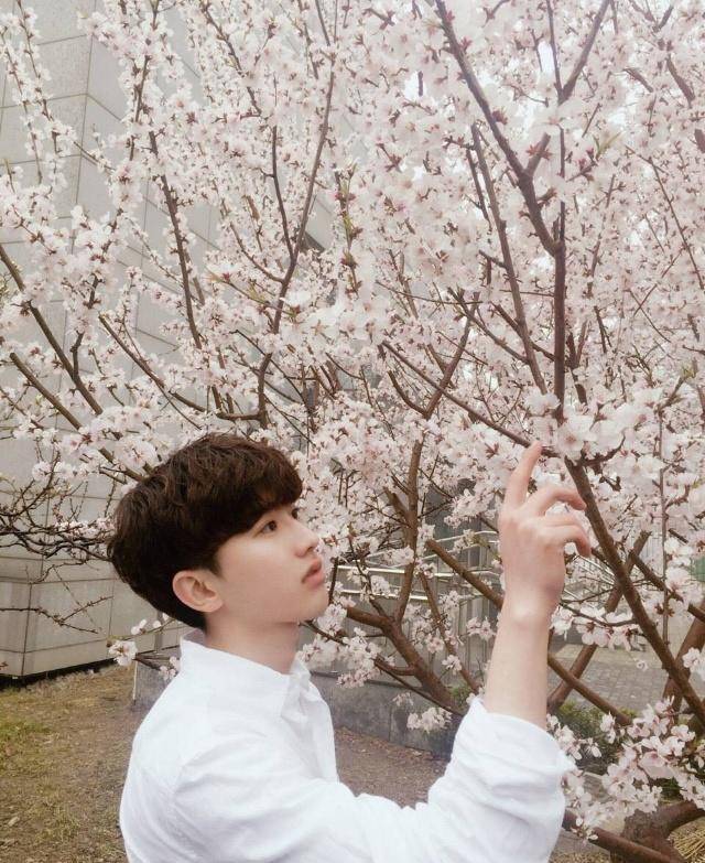 ikun们在蔡徐坤心中的位置发生变化!