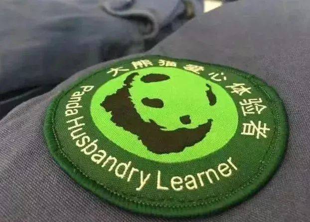 暑假研学 | 国宝守护者大熊猫科考夏令营，招募铲屎官，领取3张证书和科考报告