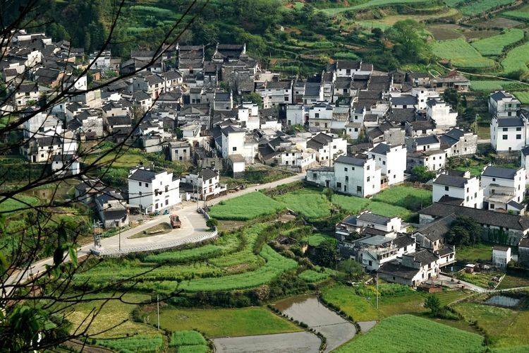吴楚分源第一村:岭脚村_村落_陶玉和_中国