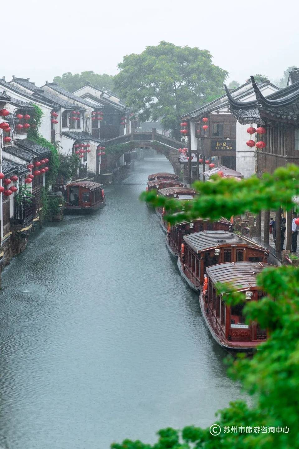 来到苏州,我再也不吐槽梅雨季了_江南_雨水_园林
