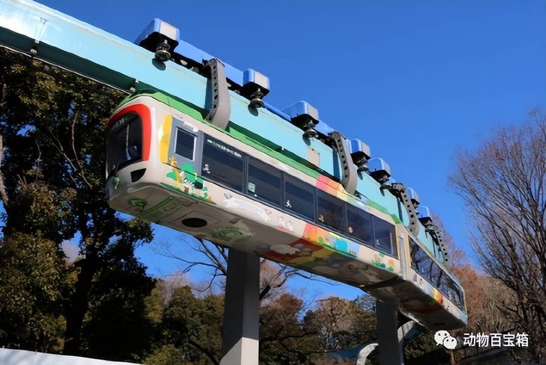 100多年前,發明單軌懸掛列車仍然在運行,其背後原理你瞭解多少_軌道