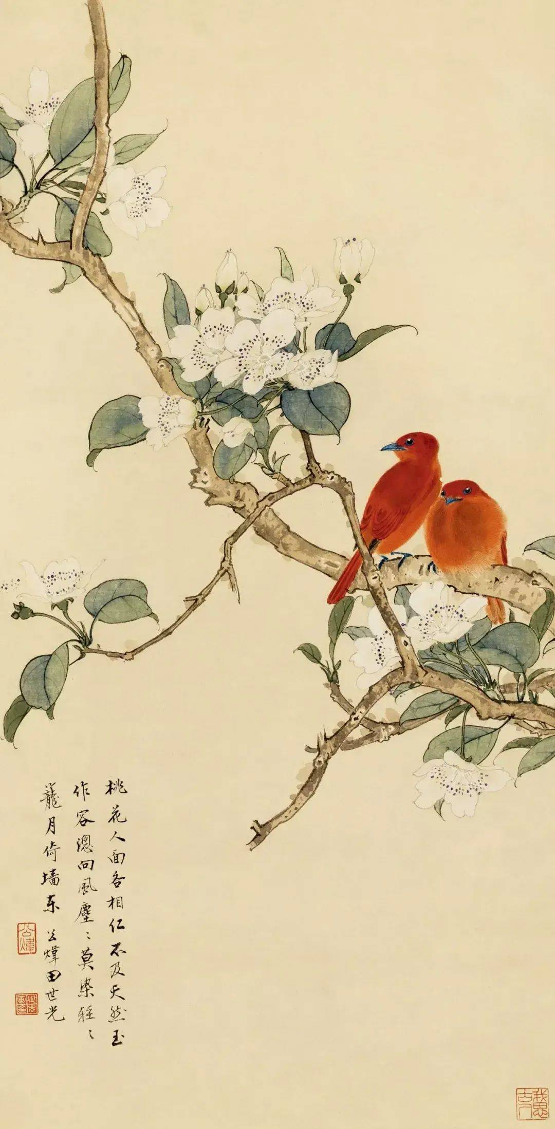 中国美術 花鳥画家 田世光 置物　壁掛け　インテリア 画家】田世光花鸟作品大全- 艺术兴趣
