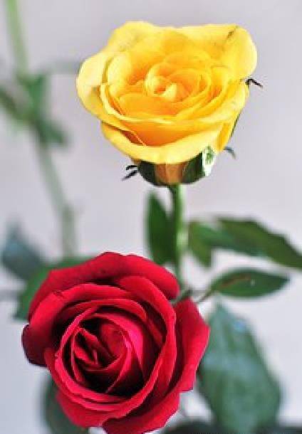 让人终生难忘的经典良言,透彻走心,引人深思_生活_因为_人生