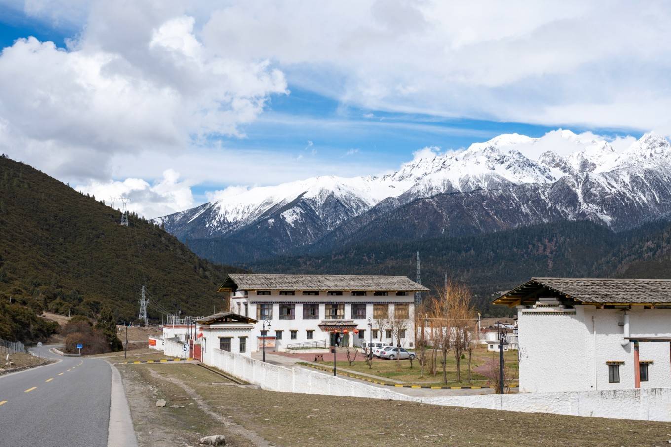 谢江,罗磊,刘韬 通麦特大桥的历史_鲁朗_景色_森林