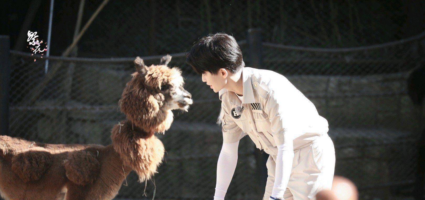 今夏陆绎温暖谈心,好的沟通方式对婚姻很重要_顾孩子_什么_宝宝