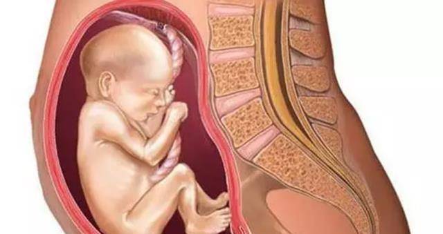 原创 胎儿臀位影响会腿部发育？看完这些影响，要清楚纠正胎位的重要性