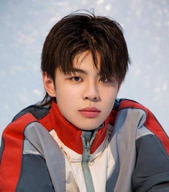 王晨艺发博回归,感谢陪伴,追梦路不言退,回想华晨宇也曾想退赛_压力