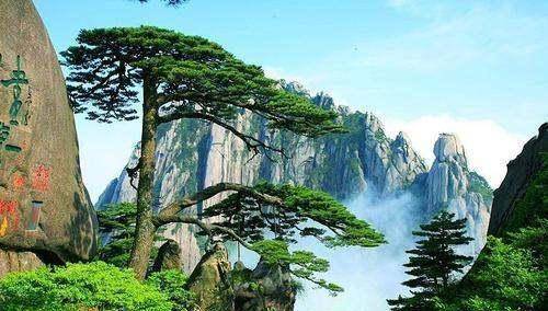 游客突然翻越围栏进入黄山迎客松保护区域,他的行为是否违法?