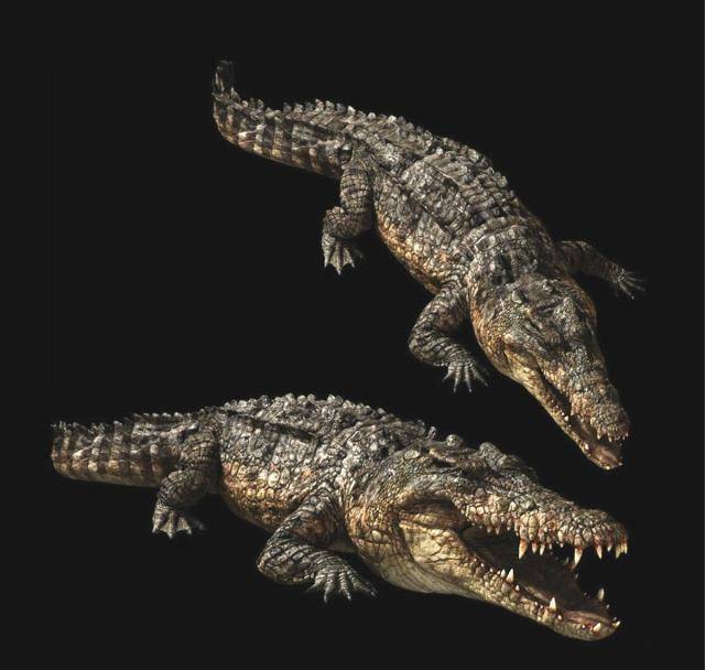 怪兽_模式_互动性