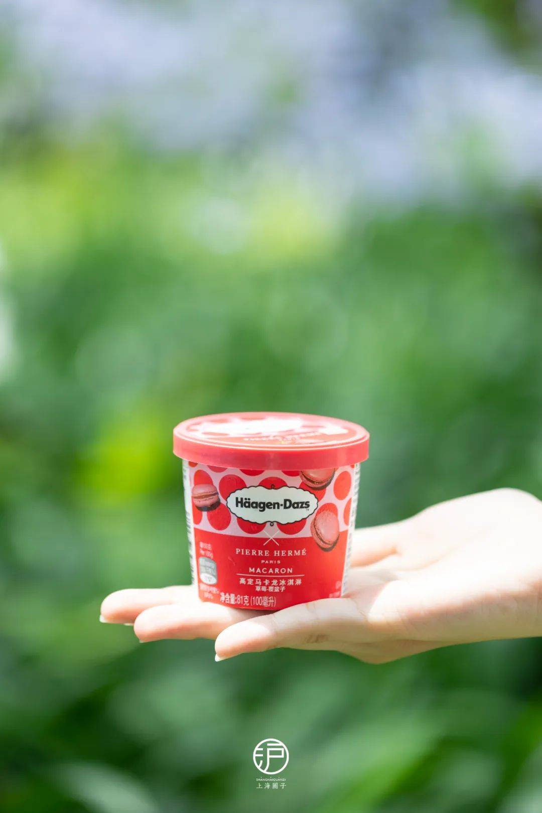 哈根达斯带你开启舌尖上的「法式高定」盛宴_马卡龙_pierre_herm