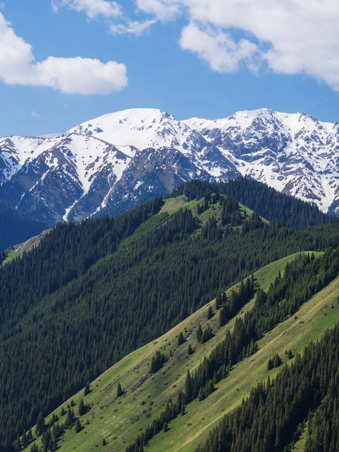 果子沟大桥美景怎能错过?观景拍摄全攻略